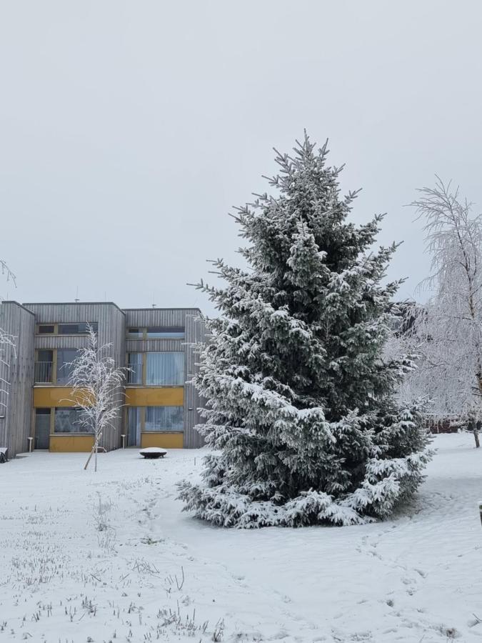 Apartment Max Loučná pod Klínovcem Eksteriør bilde